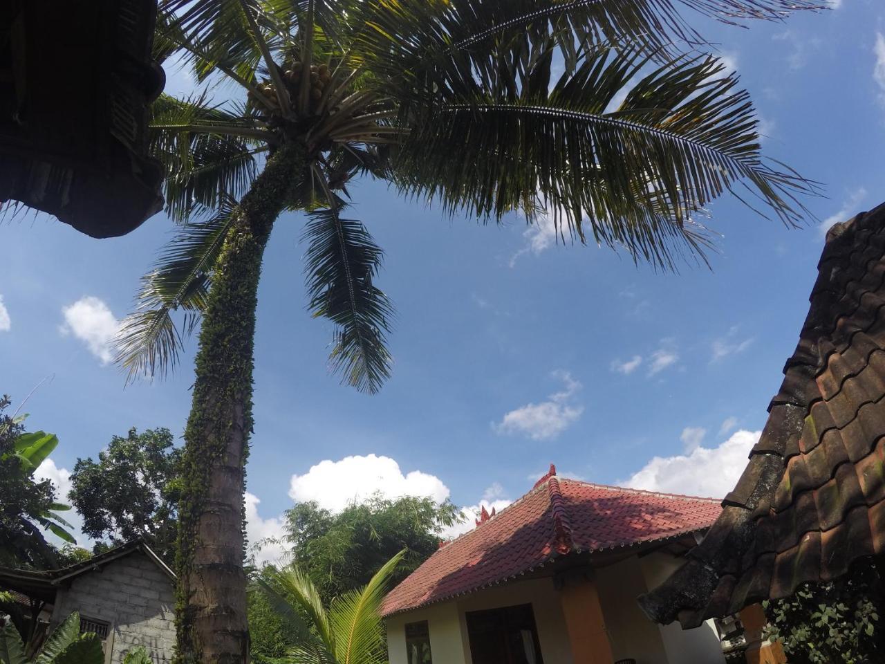 Dipa Home Stay Ubud Exteriér fotografie