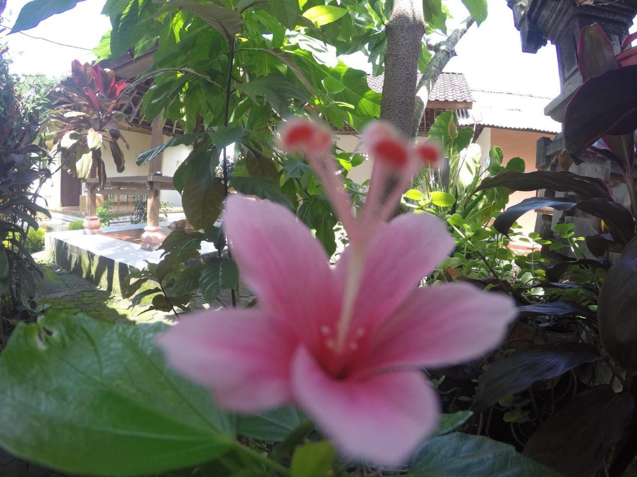 Dipa Home Stay Ubud Exteriér fotografie